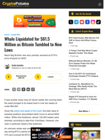 Whale Liquidated for $61.5 Million as Bitcoin Tumbled to New Lows