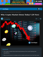 Why Crypto Market Down Today? (29 Nov)