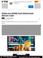 Shiba Inu (SHIB) Just Dethroned Bitcoin Cash