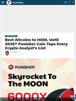 Best Altcoins to HODL Until 2026? Punisher Coin Tops Every Crypto Analyst’s List - TechBullion