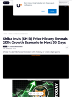 Shiba Inu's (SHIB) Price History Reveals 213% Growth Scenario in Next 30 Days - U.Today