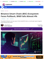 Binance Smart Chain Ecosystem Faces Pullback, BNB Falls 4%