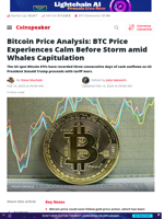 Bitcoin Price Analysis: BTC Price Experiences Calm Before Storm amid Whales Capitulation | Coinspeaker