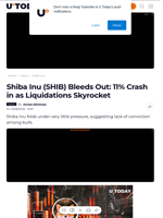 Shiba Inu (SHIB) Bleeds Out: 11% Crash in as Liquidations Skyrocket - U.Today
