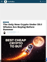 The Only New Crypto Under $0.1 Whales Are Buying Before Summer - TechBullion
