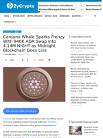Cardano Whale Sparks Frenzy With 940K ADA Swap Into 4.14M NIGHT as Midnight Blockchain Goes Live ⋆ ZyCrypto