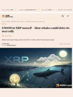 $500M in XRP moved! - How whales could drive its next rally - AMBCrypto