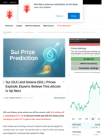 Sui (SUI) and Solana (SOL) Prices Explode; Experts Believe This Altcoin Is Up Next - NullTX