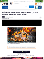 Shiba Inu Burn Rate Skyrockets 2,000%, What's Next for SHIB Price?