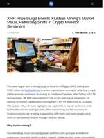 XRP Price Surge Boosts Xiushan Mining's Market Value, Reflecting Shifts in Crypto Investor Sentiment - Visionary Financial