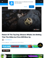 Return Of The Top Dog: Binance Whales Are Betting That The Shiba Inu Price Will Blow Up | Bitcoinist.com