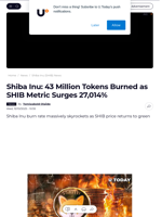 Shiba Inu: 43 Million Tokens Burned as SHIB Metric Surges 27,014% - U.Today