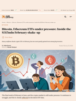 Bitcoin, Ethereum ETFs under pressure: Inside the $315mln February shake-up - AMBCrypto