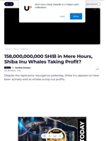 158,000,000,000 SHIB in Mere Hours, Shiba Inu Whales Taking Profit? - U.Today