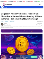Dogecoin Price Prediction: Whales Buying Billions in DOGE