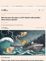 Bitcoin pays the price as OG whales take profits: More losses ahead? - AMBCrypto