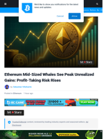 Ethereum Mid-Sized Whales See Peak Unrealized Gains: Profit-Taking Risk Rises | Bitcoinist.com