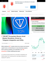 TON NFT Ecosystem Booms Amid Market Slowdown, Driven by Telegram Integration and Utility - NullTX