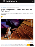 Shiba Inu’s Liquidity Crunch: Price Pump Or Peril Ahead? - DailyCoin