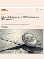 Solana whale dumps grow: Will SOL plunge past $140 support? - AMBCrypto
