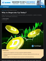 Why is Dogecoin Up Today?
