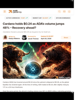 Cardano holds $0.24 as ADA's volume jumps 48% - Recovery ahead? - AMBCrypto