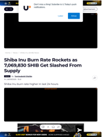 Shiba Inu Burn Rate Rockets as 7,069,830 SHIB Get Slashed From Supply - U.Today