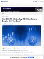 XRP Price Prediction: These 2 Big Spenders Hint At What’s Next