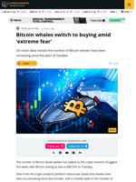 Bitcoin Whale Wallets Are Growing Amid Extreme Fear