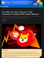 Can Shiba Inu Price Recover as Age Consumed & Falling MVRV Signal Bottom?