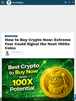 How to Buy Crypto Now: Extreme Fear Could Signal the Next 1000x Coins - TechBullion