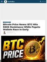 Bitcoin Price News: BTC Hits $80K Resistance While Pepeto Wallets Race In Early - TechBullion