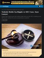 Nobody Holds Up Ripple vs SEC Case, Says Lawyer