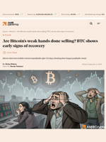 Are Bitcoin's weak hands done selling? BTC shows early signs of recovery - AMBCrypto