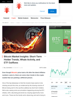 Bitcoin Market Insights: Short-Term Holder Trends, Whale Activity, and ETF Outflows - NullTX