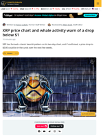 XRP Price May Drop Another 40% Amid Increased Whale Selling