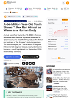 A 66-Million-Year-Old Tooth Shows T. Rex Ran Almost as Warm as a Human Body