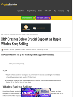 XRP Crashes Below Crucial Support as Ripple Whales Keep Selling