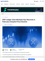 XRP Ledger Paradox: Price Falls While Network Activity Surges