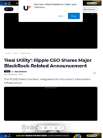 'Real Utility': Ripple CEO Shares Major BlackRock-Related Announcement - U.Today