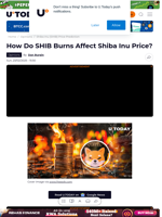 How Do SHIB Burns Affect Shiba Inu Price?