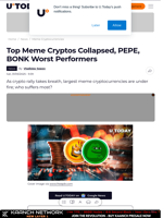 Top Meme Cryptos Collapsed, PEPE, BONK Worst Performers
