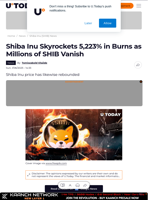 Shiba Inu Skyrockets 5,223% in Burns as Millions of SHIB Vanish