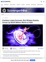 Strongest ADA Whale Buying Since May Fuels Bullish Speculation