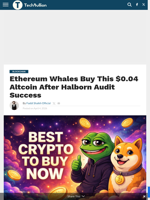 Ethereum Whales Buy This $0.04 Altcoin After Halborn Audit Success - TechBullion