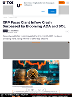 XRP Faces Giant Inflow Crash Surpassed by Blooming ADA and SOL