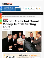 Bitcoin Stalls but Smart Money Is Still Betting on It - The Crypto News Wire