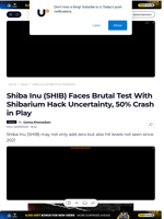 Shiba Inu (SHIB) Faces Brutal Test With Shibarium Hack Uncertainty, 50% Crash in Play - U.Today