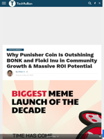 Why Punisher Coin Is Outshining BONK and Floki Inu in Community Growth & Massive ROI Potential - TechBullion