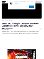 Shiba Inu (SHIB) in Critical Condition: Worst State Since January 2024 - U.Today